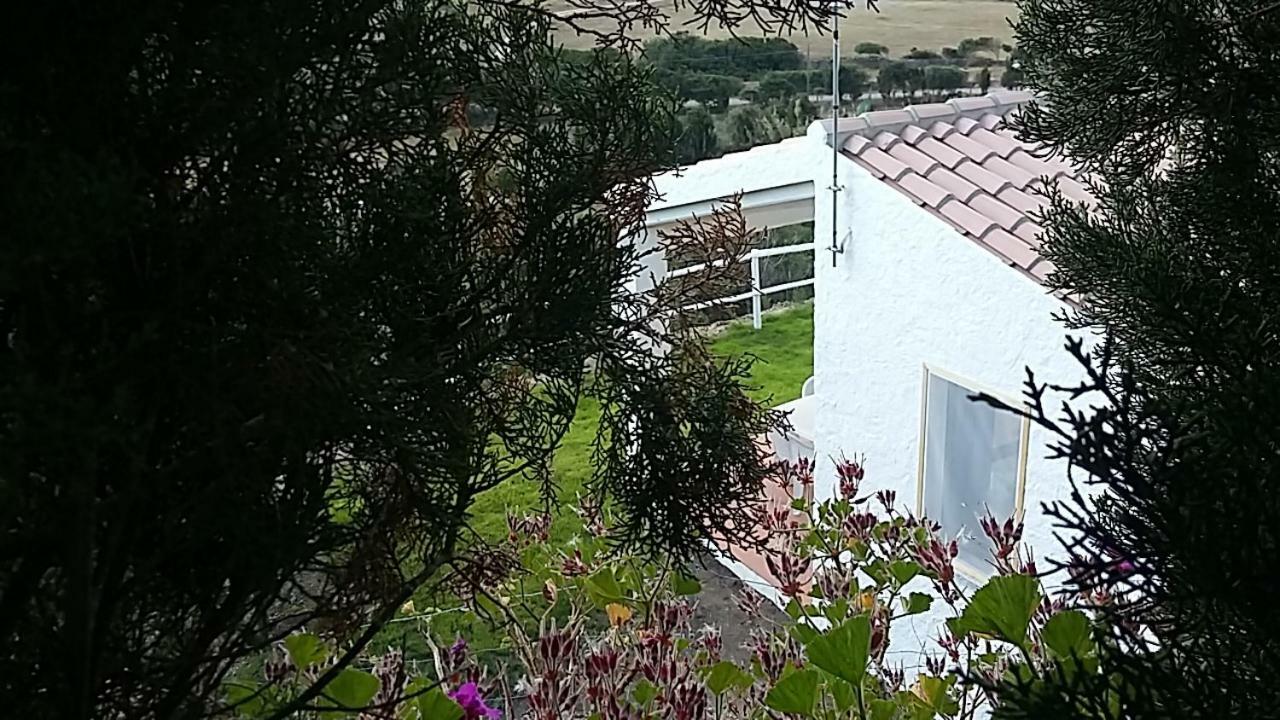 Agriturismo La Valletta Hotel Santa Teresa Gallura Buitenkant foto
