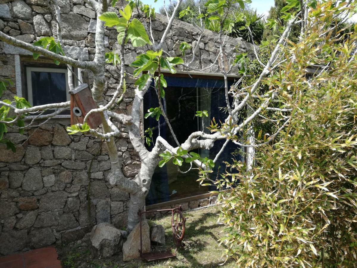Agriturismo La Valletta Hotel Santa Teresa Gallura Buitenkant foto